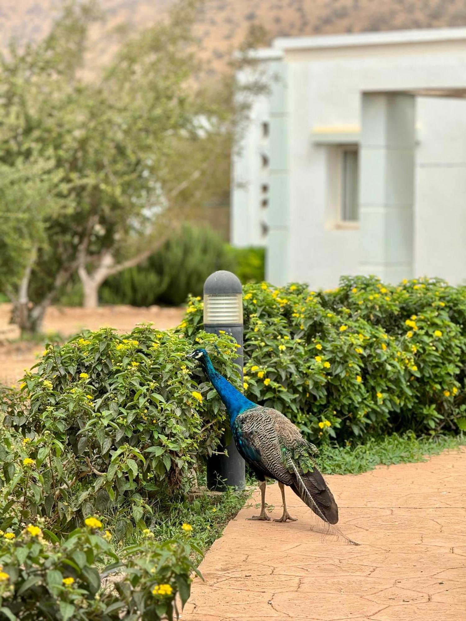 Lunja Village - Agadir Imi Ouaddar Eksteriør billede